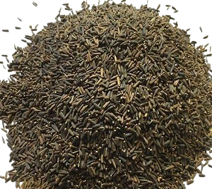 Bitter Cumin
