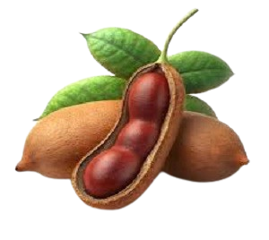 Fresh Tamarind Pods