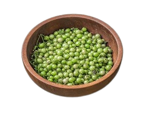 Green Coriander Seeds