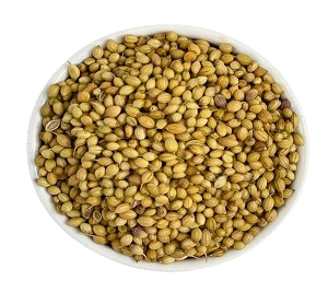 Badami Coriander