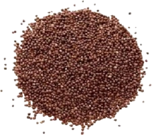 Brown Mustard Seed
