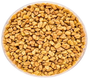 Fenugreek
