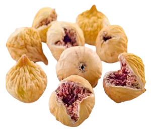 Persian Fig