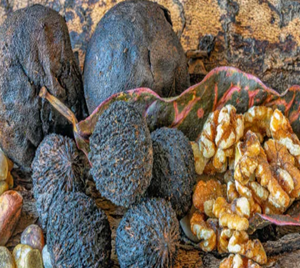 Black Walnut