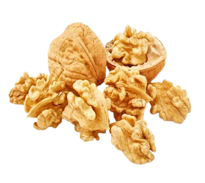 Walnut